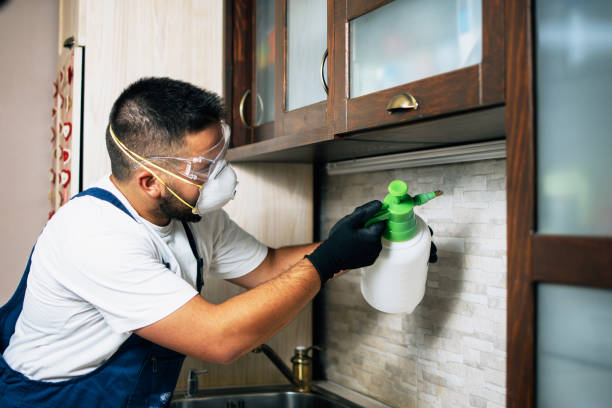 Best Rat Extermination Near Me  in Crockett, CA