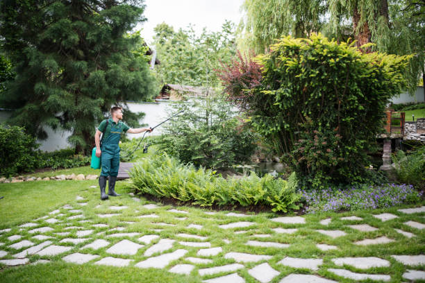 Best Insect Control  in Crockett, CA