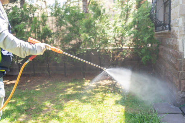 Best Flea Control Services  in Crockett, CA