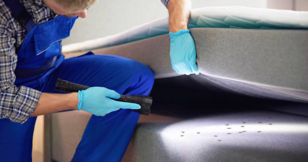 Best Bed Bug Extermination  in Crockett, CA